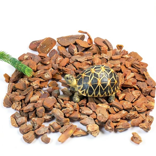 Zhongshan Cangda Reptile Thermometer Hygrometer Digital Tank-3