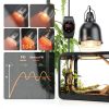 XFP Reptile Thermostat Dimming Temperature Control Heat Lamp-5