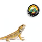 Yaxixi Terrarium Thermometer Hygrometer High Precision Easy-0