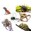 Ankilo Reptile Thermometer Hygrometer LED Display Adhesive-7