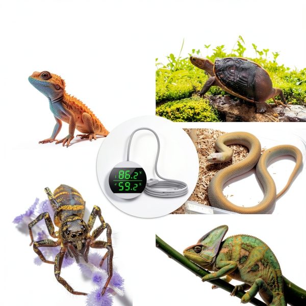 Ankilo Reptile Thermometer Hygrometer LED Display Adhesive-7