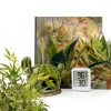 Duedusto Terrarium Thermometer Accurate Temperature Humidity-5
